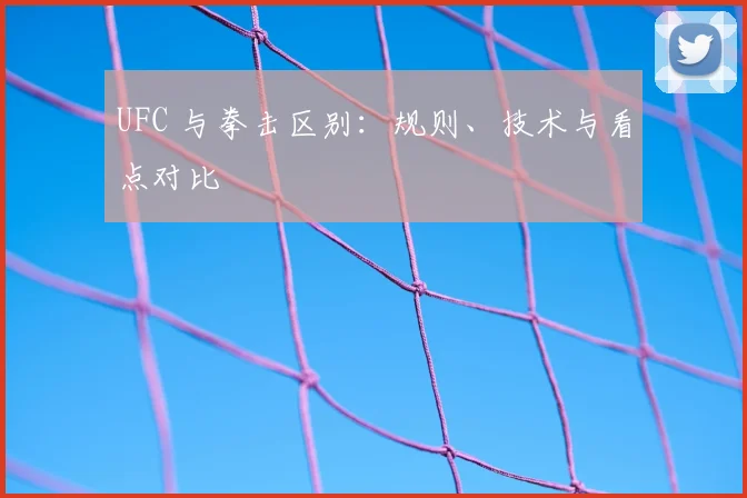 UFC 与拳击区别：规则、技术与看点对比