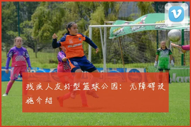 残疾人友好型篮球公园：无障碍设施介绍